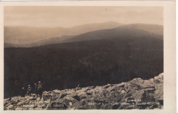 Bayerischen Wald - Lusen - D xxxx 95 119 **